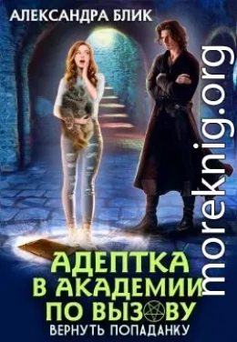 Адептка в академии по вызову. Вернуть попаданку
