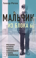 Мальчик из Блока 66. Реальная история ребенка, пережившего Аушвиц и Бухенвальд