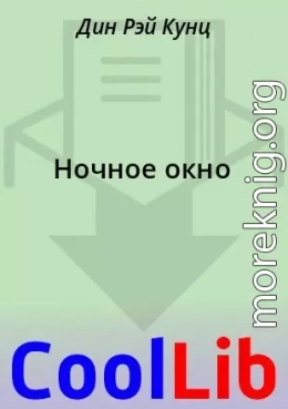 Ночное окно