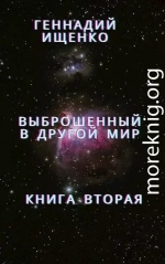 Выброшенный в другой мир - книга вторая