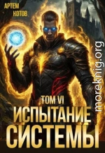 Испытание Системы VI