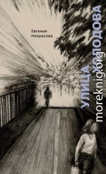 Улица Холодова