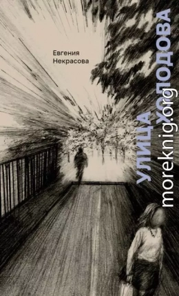 Улица Холодова