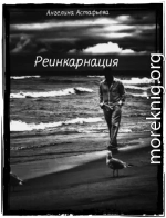 Реинкарнация. Игры судьбы