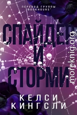 Спайдер и Сторми