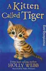 A Kitten Called Tiger