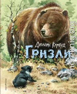 Гризли