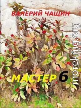 Мастер 6