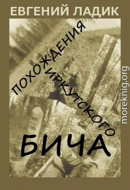 Похождения иркутского бича