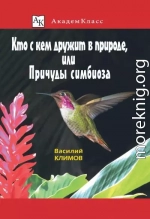 Кто с кем дружит в природе, или Причуды симбиоза