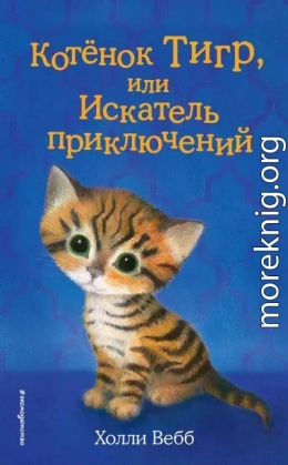 Котёнок Тигр, или Искатель приключений