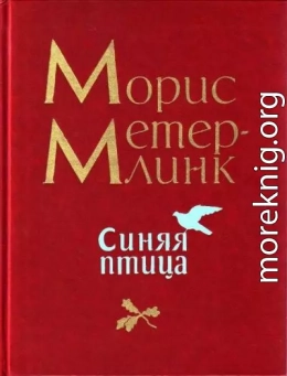 Синяя птица