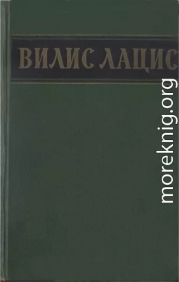 Собрание сочинений. Т.4. Буря