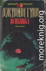 Вспышка. Книга вторая