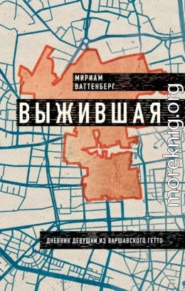 Выжившая. Дневник девушки из Варшавского гетто