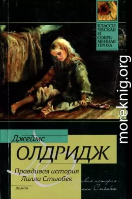 Правдивая история Лилли Стьюбек