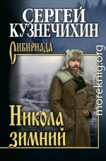 Никола зимний