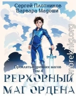 Верховный маг Ордена