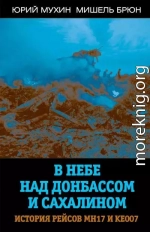 В небе над Донбассом и Сахалином. История рейсов МН17 и КЕ007