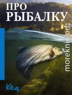 Про рыбалку