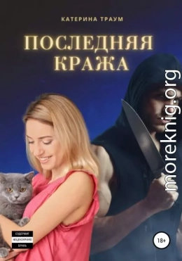 Последняя кража