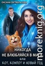 Никогда не влюбляйся в мага, или Кот, компот и Новый год