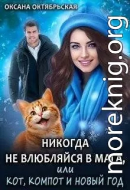Никогда не влюбляйся в мага, или Кот, компот и Новый год