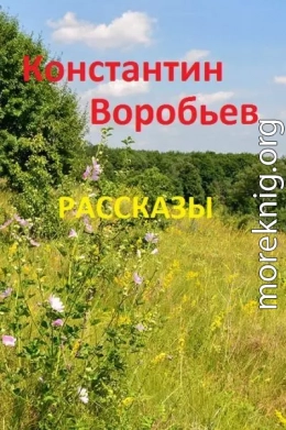 Рассказы