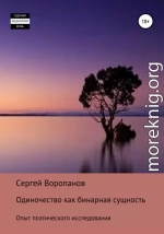 Одиночество как бинарная сущность. Опыт поэтического исследования