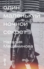 Один маленький ночной секрет