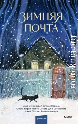 Зимняя почта