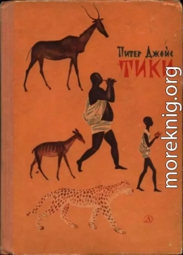 Тики