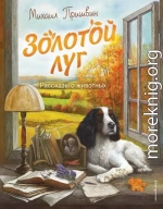 Золотой луг. Рассказы о животных