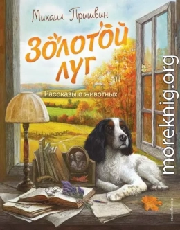Золотой луг. Рассказы о животных