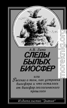 Следы былых биосфер, или Рассказ о том, как устроена биосфера и что осталось от биосфер геологического прошлого