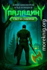 Паладин. Свет и Скверна III
