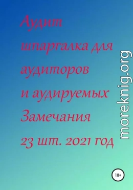 Аудит шпаргалка для аудиторов и аудируемых. Замечания 23 шт. за 2021 год