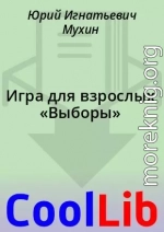 Игра для взрослых «Выборы»