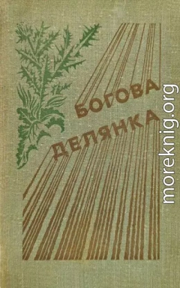Богова делянка