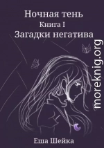 Ночная тень. Книга 1. Загадки негатива