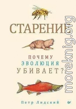 Старение. Почему эволюция убивает?