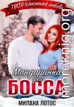 Мандаринка для босса