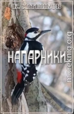 Напарники