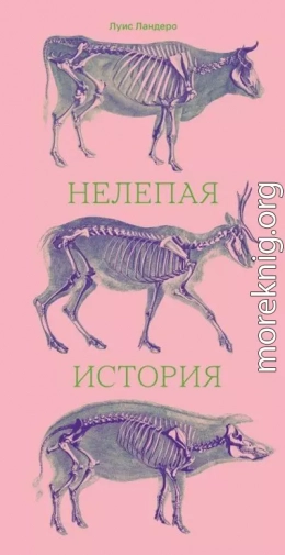 Нелепая история