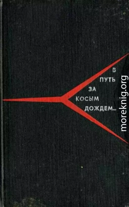 В путь за косым дождём