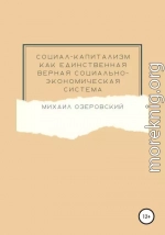 Социал-капитализм как единственная верная социально-экономическая система