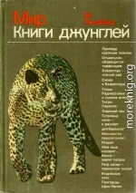 Мир Книги джунглей