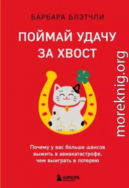Поймай удачу за хвост. Почему у вас больше шансов выжить в авиакатастрофе, чем выиграть в лотерею