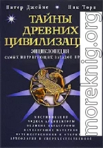 Тайны древних цивилизаций. Энциклопедия самых интригующих загадок прошлого