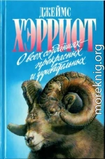 О всех созданиях - прекрасных и удивительных